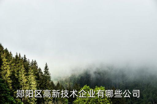 鄖陽(yáng)區(qū)高新技術(shù)企業(yè)有哪些公司