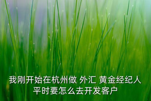 我剛開始在杭州做 外匯 黃金經(jīng)紀人平時要怎么去開發(fā)客戶