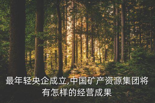 最年輕央企成立,中國礦產(chǎn)資源集團將有怎樣的經(jīng)營成果