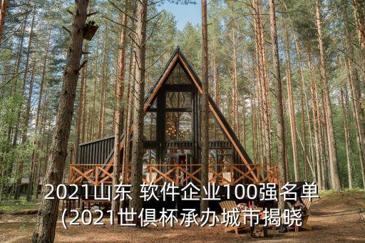 2021山東 軟件企業(yè)100強(qiáng)名單(2021世俱杯承辦城市揭曉