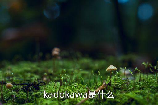 kadokawa是什么