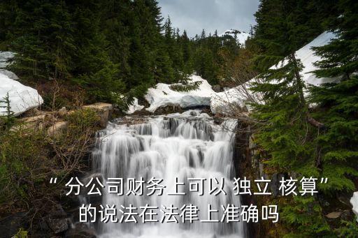 分公司獨(dú)立核算的好處,事業(yè)單位獨(dú)立核算的好處