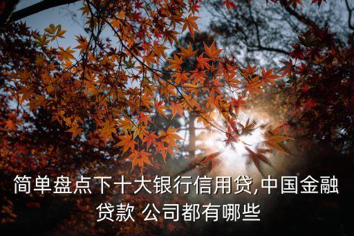 簡單盤點(diǎn)下十大銀行信用貸,中國金融 貸款 公司都有哪些