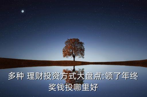 多種 理財(cái)投資方式大盤點(diǎn):領(lǐng)了年終獎(jiǎng)錢投哪里好