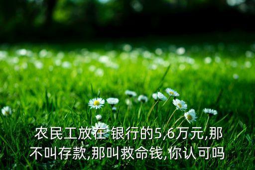  農(nóng)民工放在 銀行的5,6萬元,那不叫存款,那叫救命錢,你認可嗎