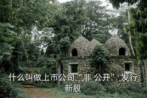 什么叫做上市公司“非 公開(kāi)” 發(fā)行新股