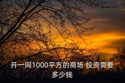 開一間1000平方的商場 投資需要多少錢