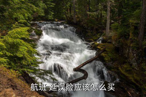 航班 延誤險(xiǎn)應(yīng)該怎么買