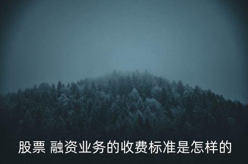  股票 融資業(yè)務(wù)的收費(fèi)標(biāo)準(zhǔn)是怎樣的