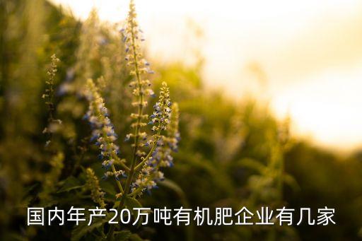 國內(nèi)年產(chǎn)20萬噸有機肥企業(yè)有幾家