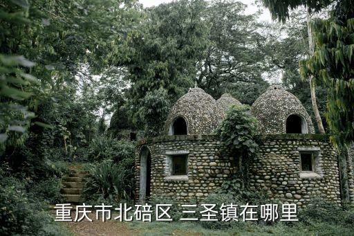 貴陽三圣特種建材公司,三圣特種建材股份有限公司董事長