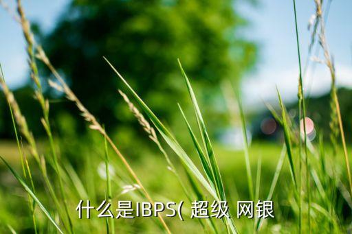 什么是IBPS( 超級 網(wǎng)銀