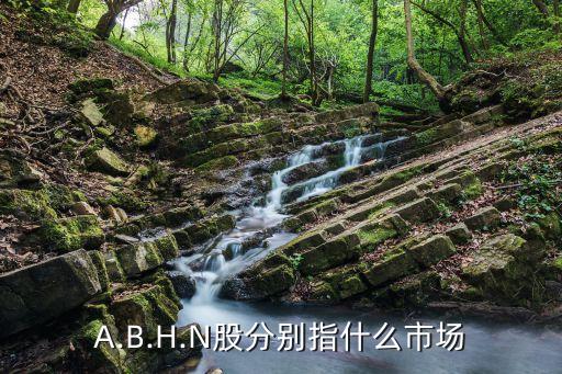 A.B.H.N股分別指什么市場