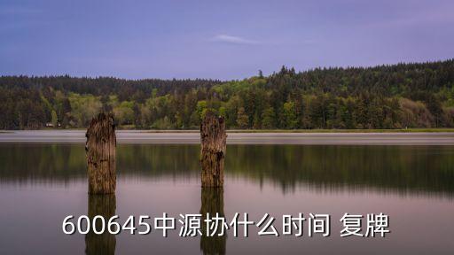 600645中源協(xié)什么時間 復牌