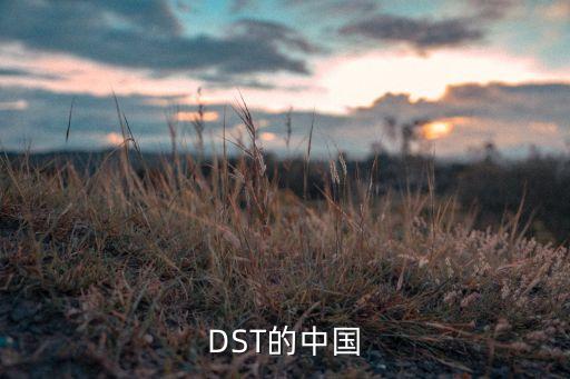 DST的中國