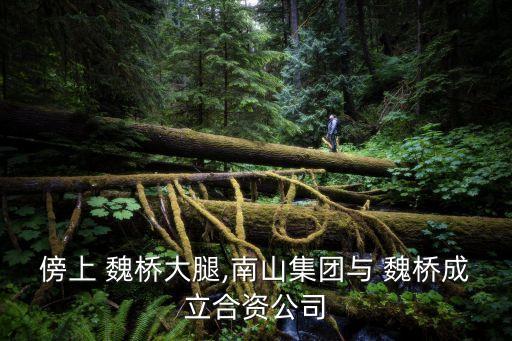 傍上 魏橋大腿,南山集團(tuán)與 魏橋成立合資公司