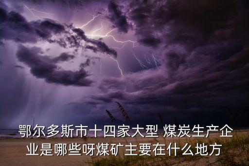  鄂爾多斯市十四家大型 煤炭生產(chǎn)企業(yè)是哪些呀煤礦主要在什么地方