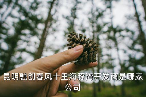 昆明融創(chuàng)春風(fēng)十里海豚灣開(kāi)發(fā)商是哪家公司