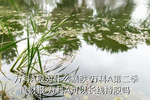  萬科A股為什么暴跌 萬科A第二季度財(cái)報(bào) 萬科A可以長(zhǎng)線持股嗎