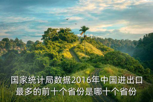 國家統(tǒng)計局數據2016年中國進出口最多的前十個省份是哪十個省份