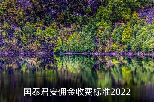 國泰君安傭金收費標(biāo)準(zhǔn)2022