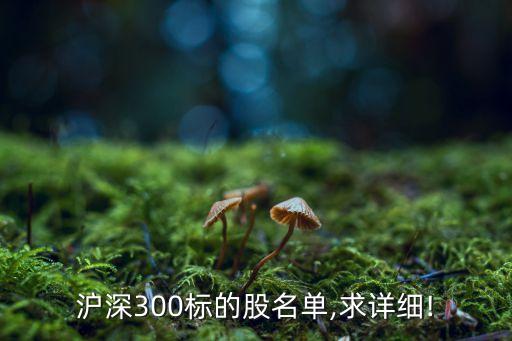 滬深300標的股名單,求詳細!