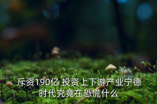  斥資190億 投資上下游產(chǎn)業(yè)寧德時(shí)代究竟在恐慌什么