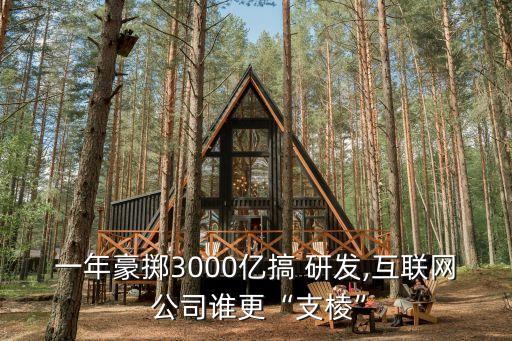 一年豪擲3000億搞 研發(fā),互聯(lián)網(wǎng) 公司誰更“支棱”