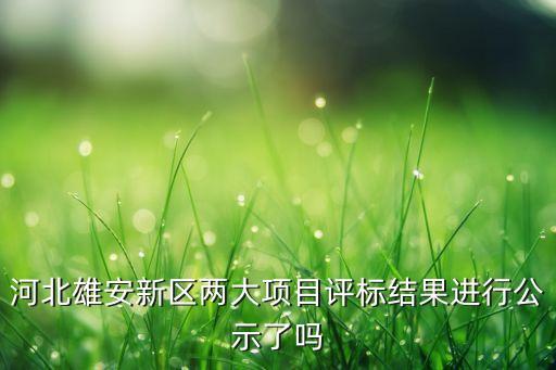 河北雄安新區(qū)兩大項目評標結(jié)果進行公示了嗎