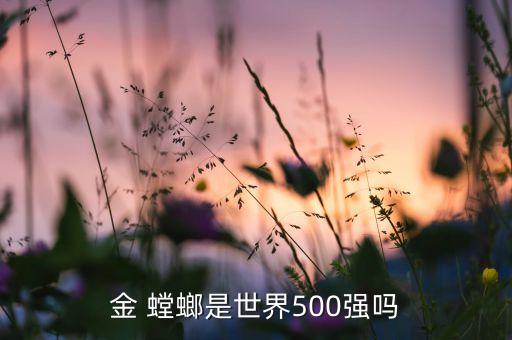 金 螳螂是世界500強(qiáng)嗎