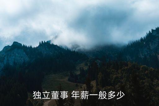 江西上市公司年薪,上市公司銷售總監(jiān)年薪一般多少