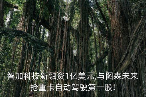 智加科技新融資1億美元,與圖森未來搶重卡自動(dòng)駕駛第一股!