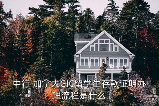 中行 加拿大GIC留學生存款證明辦理流程是什么