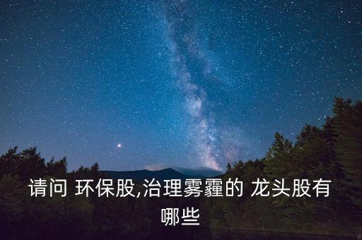 請問 環(huán)保股,治理霧霾的 龍頭股有哪些