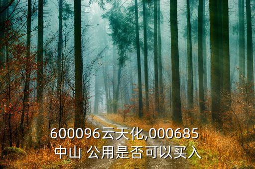 600096云天化,000685 中山 公用是否可以買入