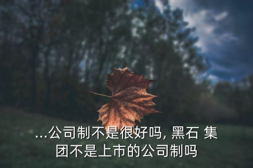 ...公司制不是很好嗎, 黑石 集團(tuán)不是上市的公司制嗎