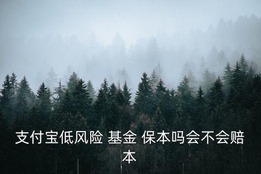 支付寶低風(fēng)險(xiǎn) 基金 保本嗎會(huì)不會(huì)賠本