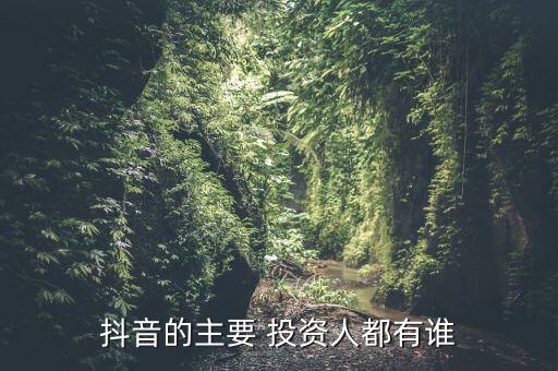 抖音的主要 投資人都有誰