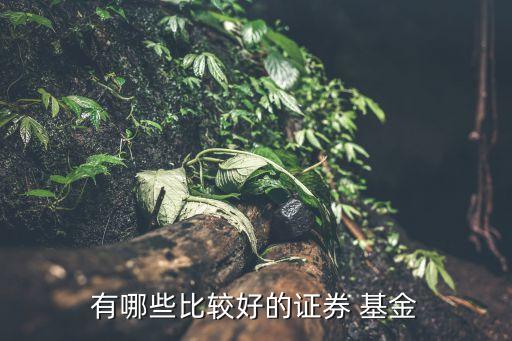 有哪些比較好的證券 基金