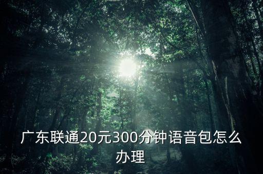 廣東聯(lián)通20元300分鐘語音包怎么辦理