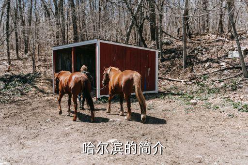 哈藥集團(tuán)股份有限公司招標(biāo)信息,中國(guó)哈藥集團(tuán)股份有限公司