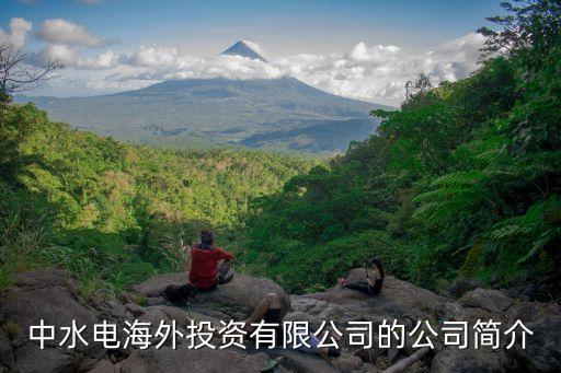 中國(guó)在老撾建的電站