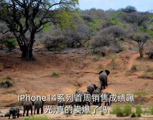 蘋果中國銷售量,蘋果14pro銷售量