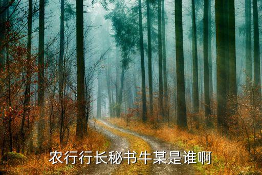 農(nóng)行行長秘書牛某是誰啊