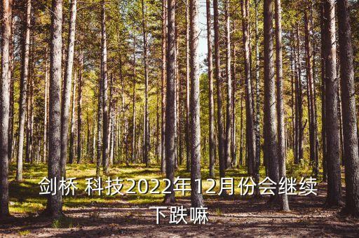 劍橋 科技2022年12月份會繼續(xù)下跌嘛