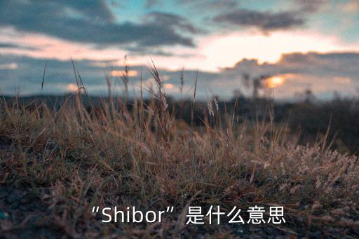 “Shibor”是什么意思