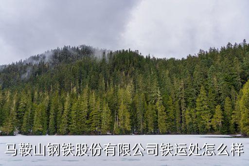 馬鞍山鋼鐵股份有限公司鐵運(yùn)處怎么樣