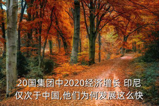 20國集團(tuán)中2020經(jīng)濟(jì)增長 印尼僅次于中國,他們?yōu)楹伟l(fā)展這么快