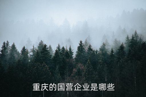  重慶的國營企業(yè)是哪些