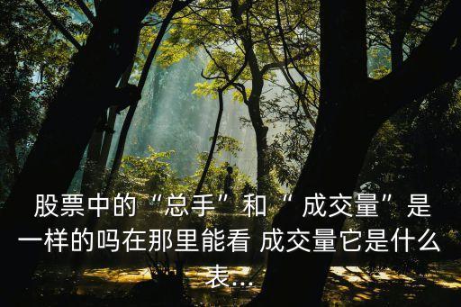  股票中的“總手”和“ 成交量”是一樣的嗎在那里能看 成交量它是什么表...